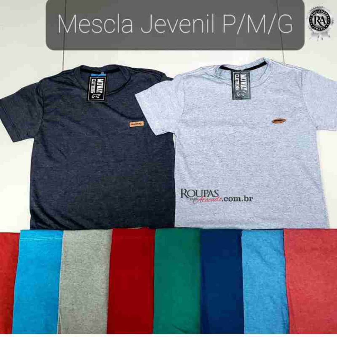 Camiseta Mescla Juvenil Masculina